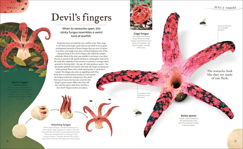 Weird and Wonderful Nature