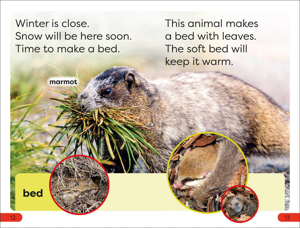 DK Super Readers Pre-Level A Bed For The Winter