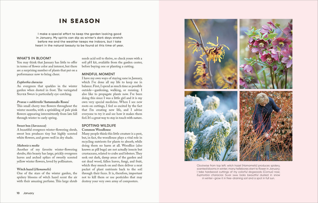 The Money-Saving Garden Year-Spread, Image, (PRHC, Design, Do, Not, Use)-2