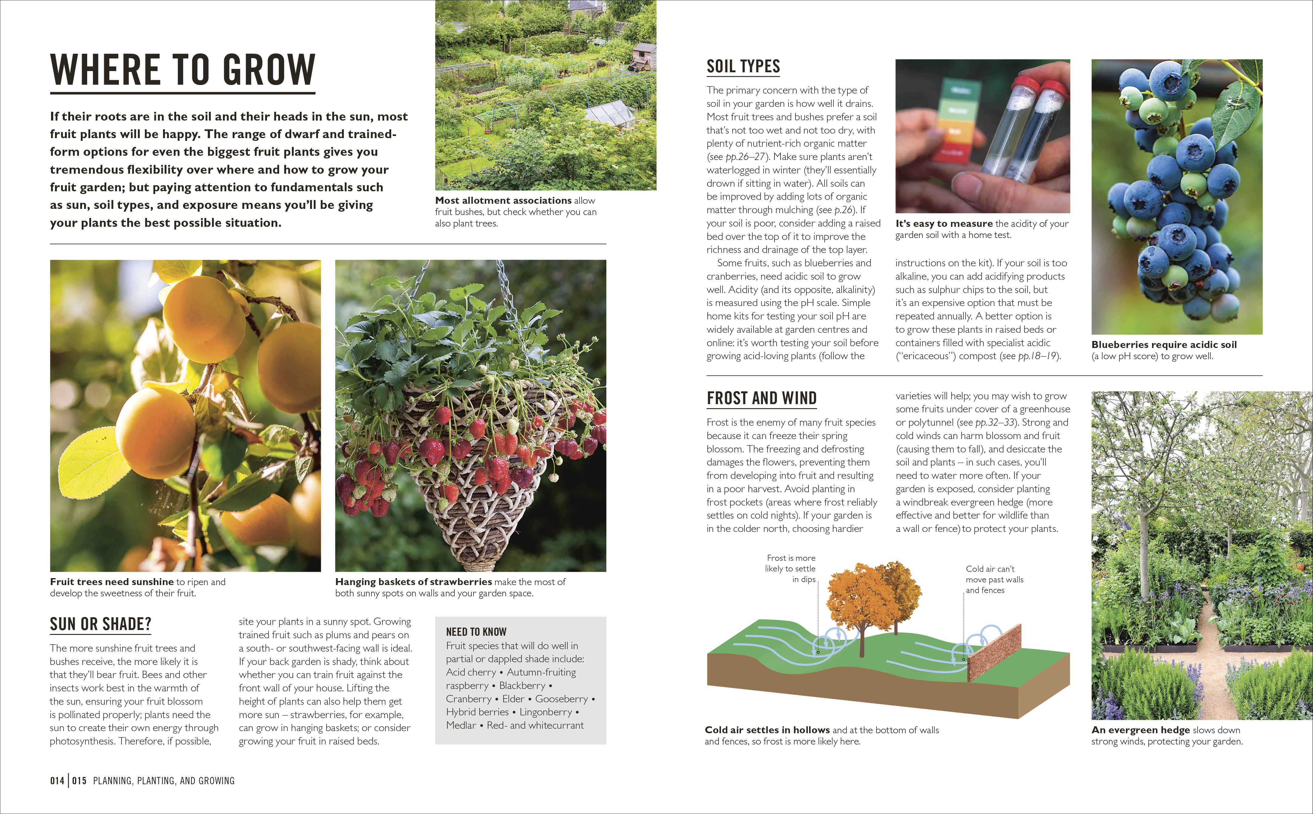 Grow Fruit – DK