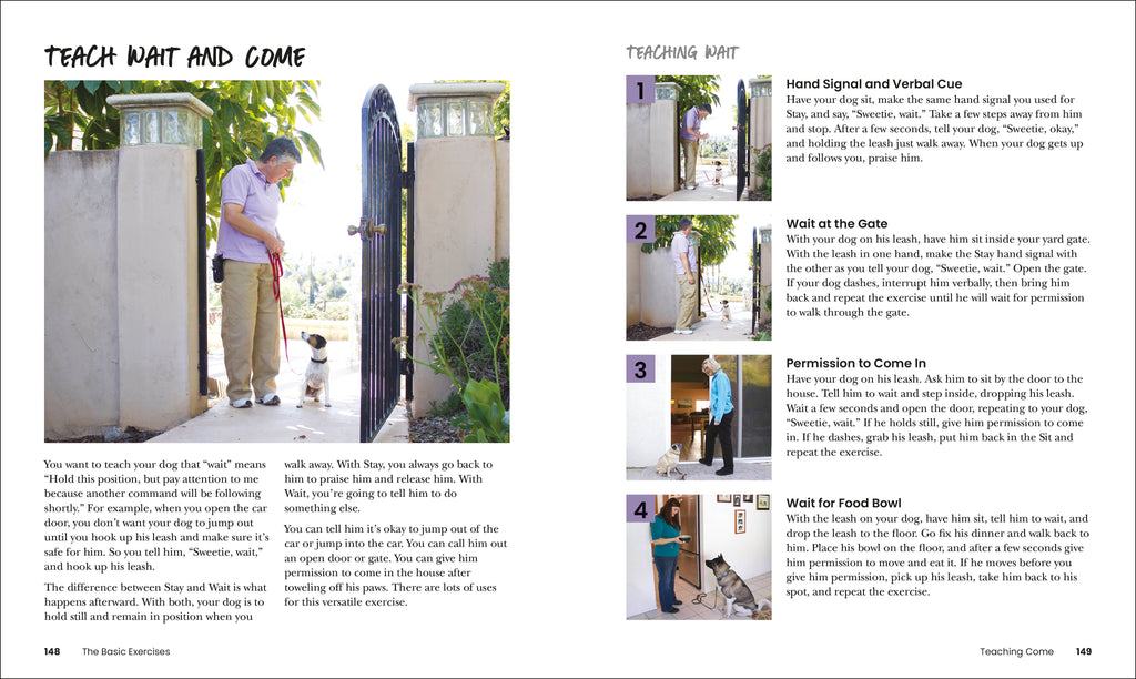 How to Train Your Dog-Spread, Image, (PRHC, Design, Do, Not, Use)-5