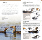 Pocket Birds of Canada