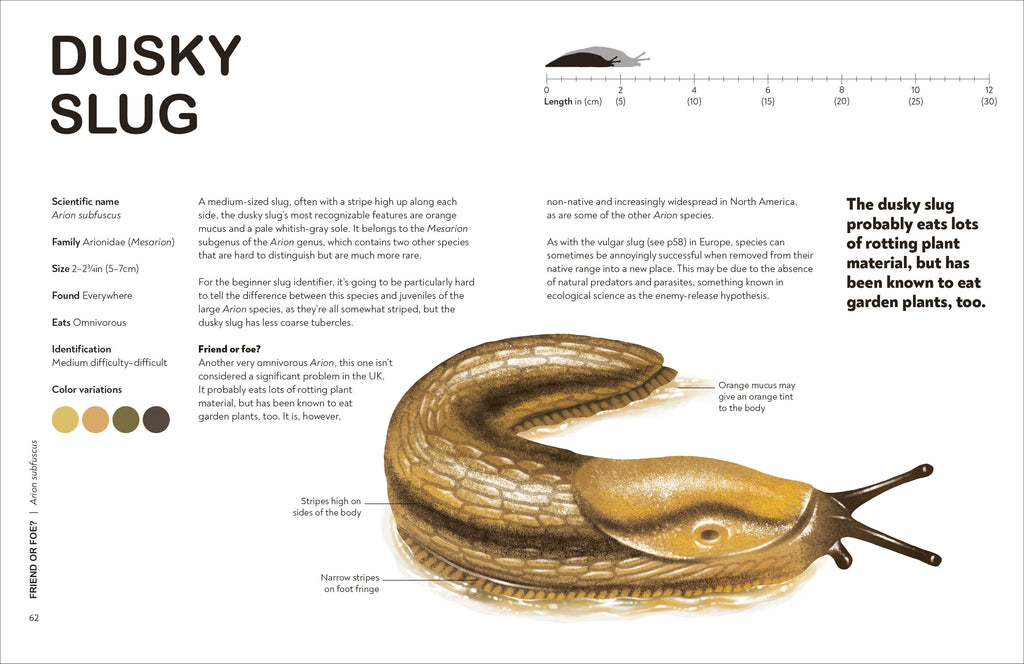 Slugs: Friend or Foe?-Spread, Image, (PRHC, Design, Do, Not, Use)-4