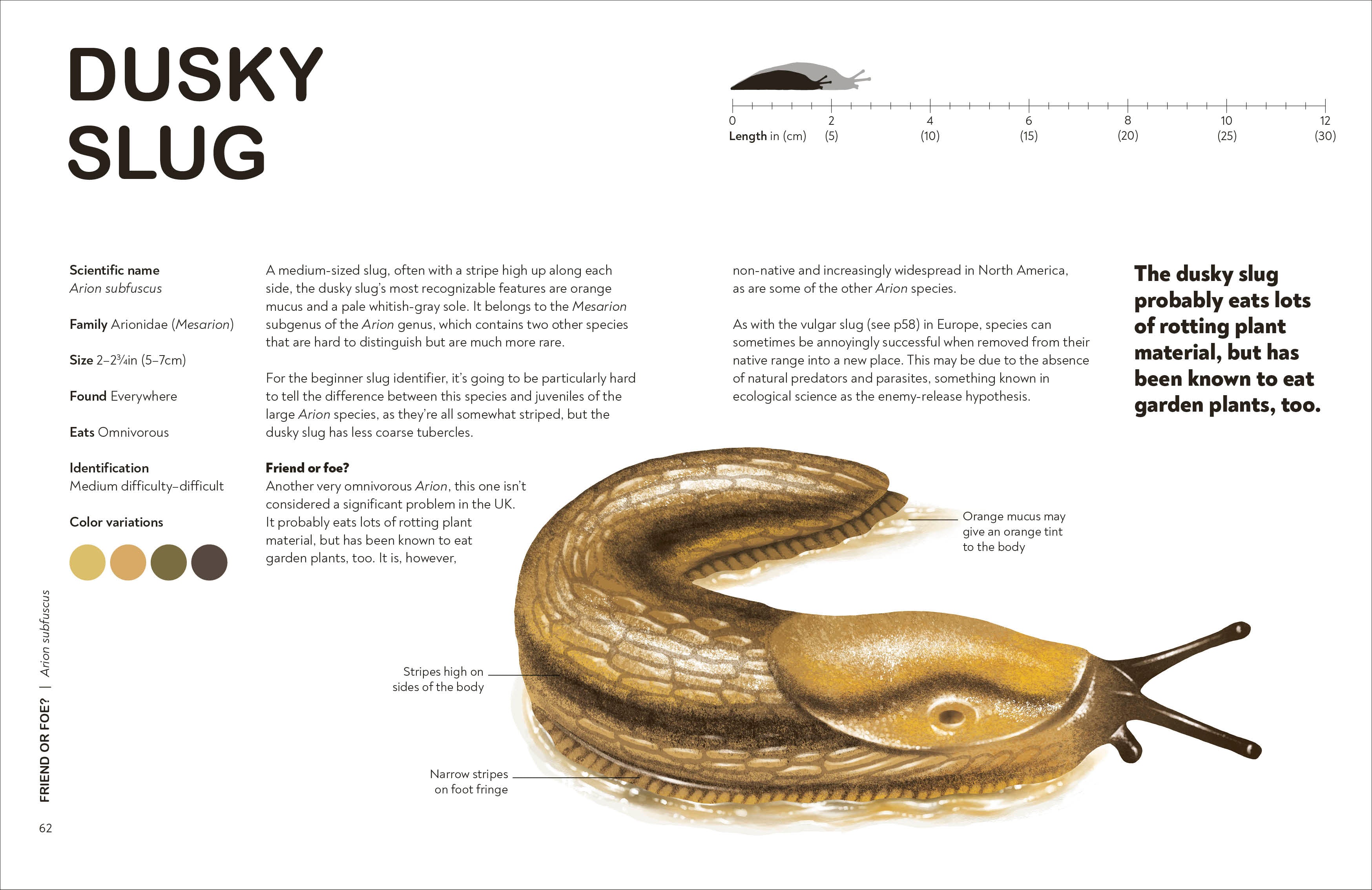 Slugs: Friend or Foe?-Spread, Image, (PRHC, Design, Do, Not, Use)-4