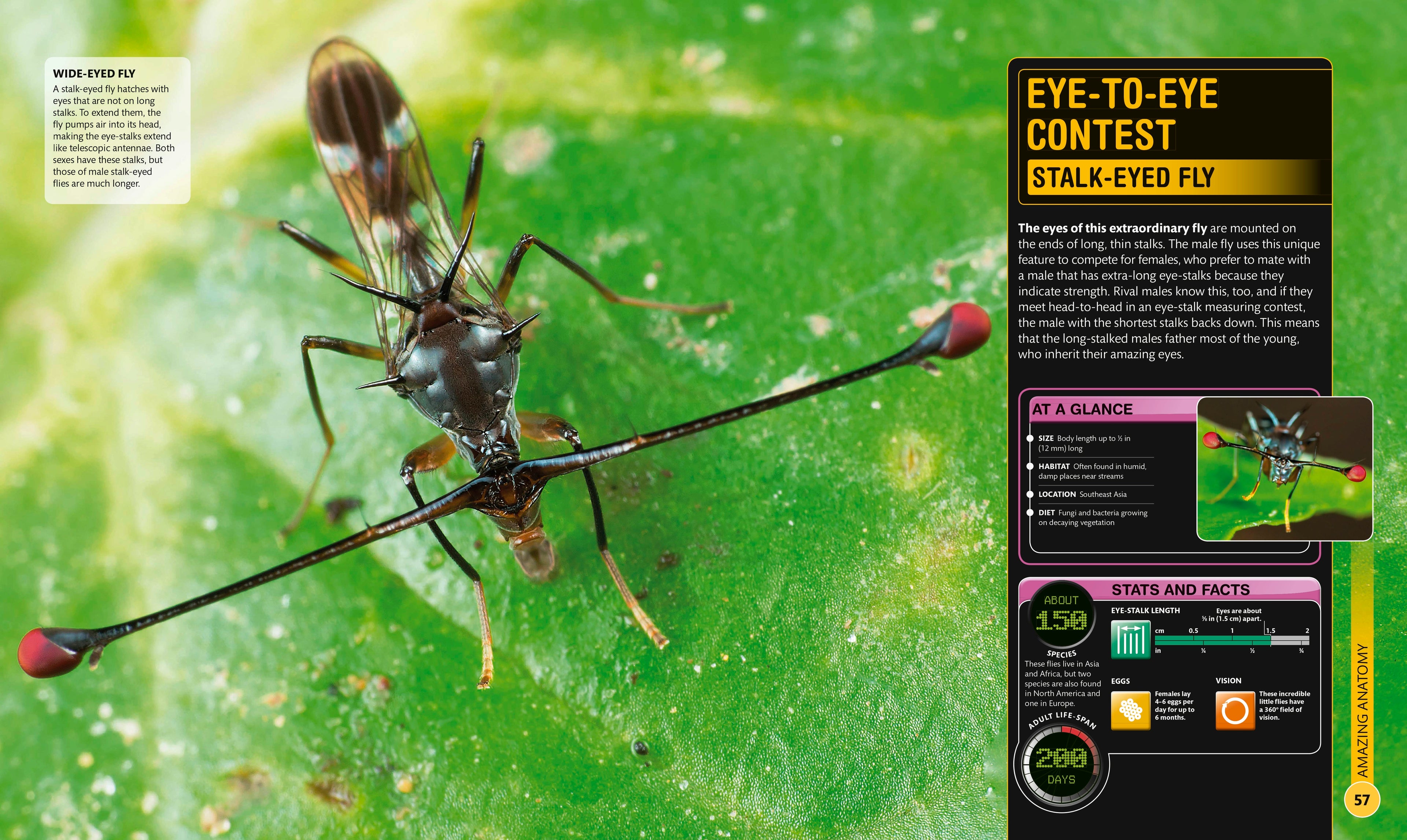 Super Bug Encyclopedia