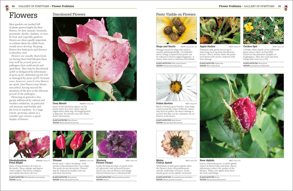 RHS Pests & Diseases