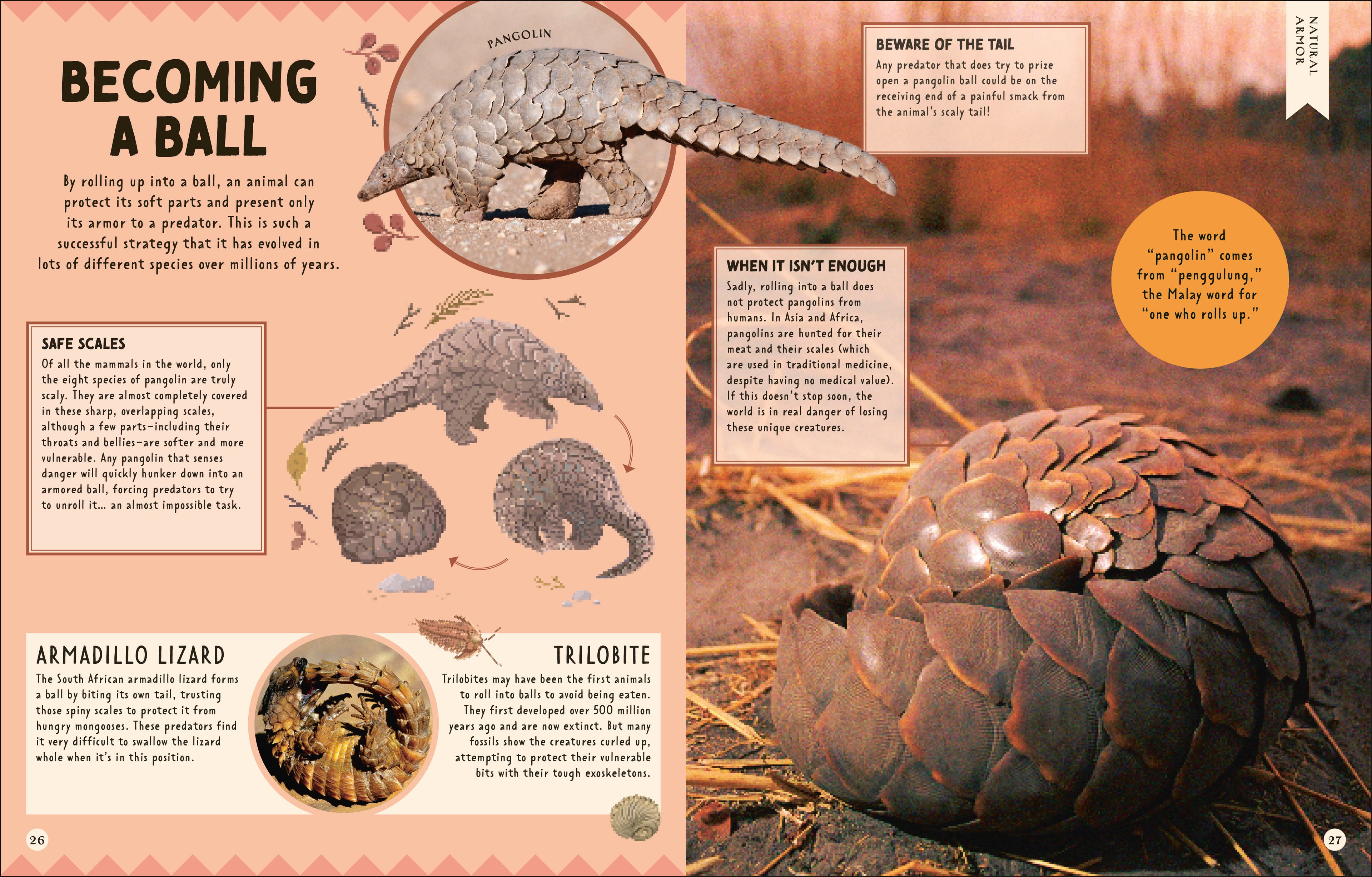 How Not to Get Eaten-Spread, Image, (PRHC, Design, Do, Not, Use)-3