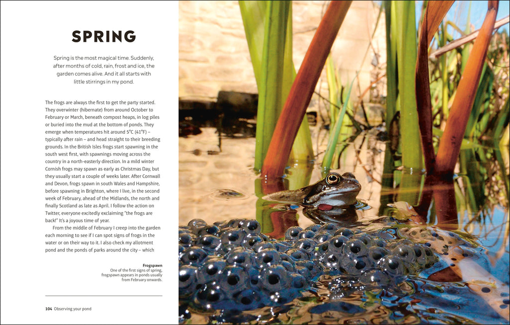 RHS How to Create a Wildlife Pond