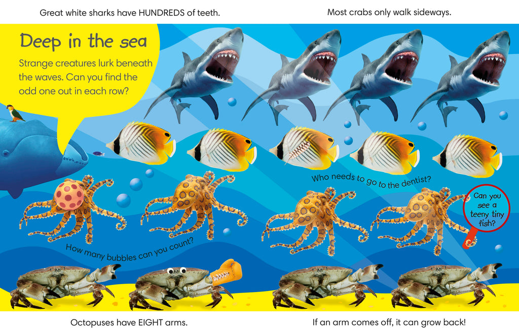 Spot the Difference Animals