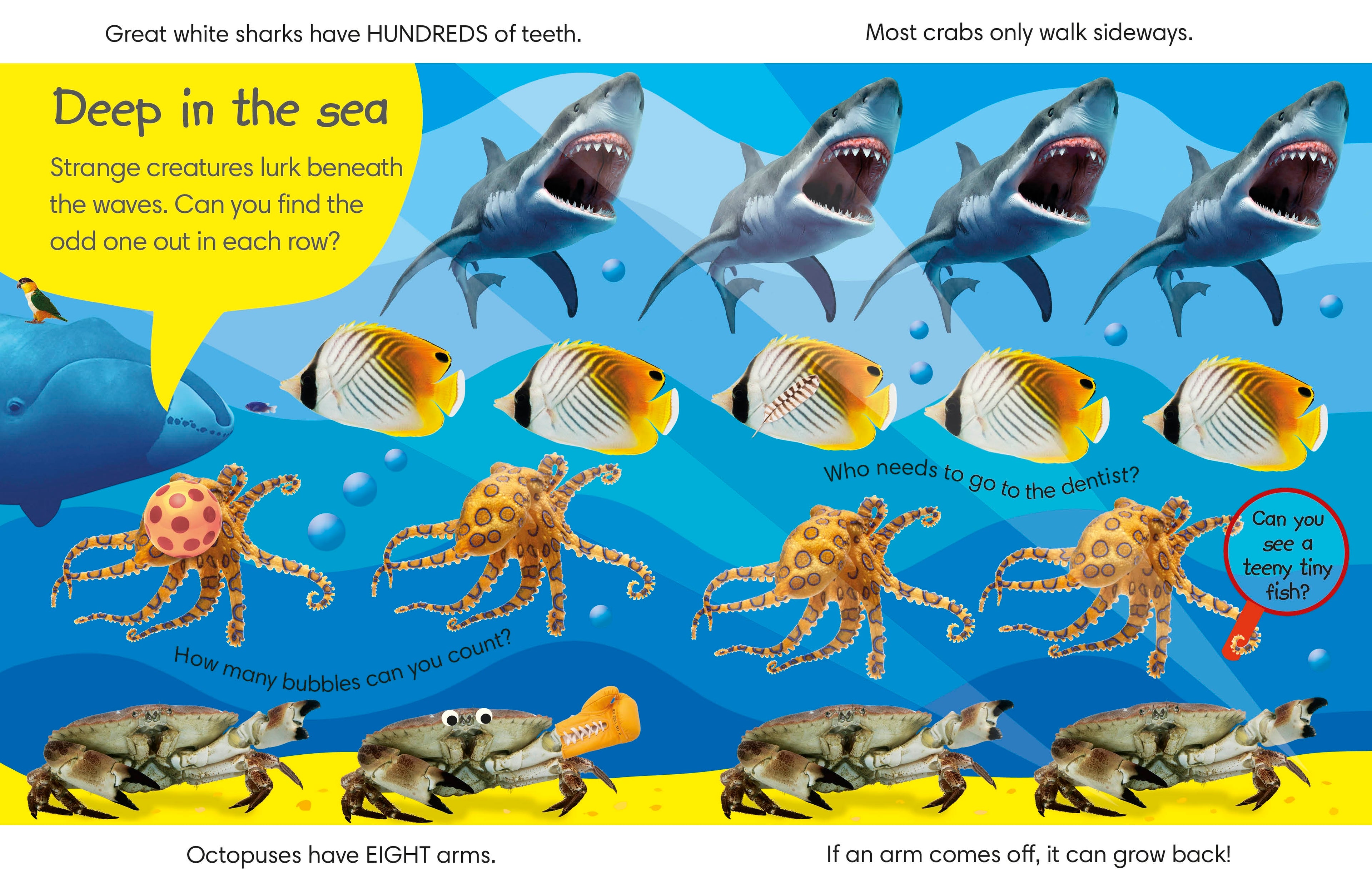 Spot the Difference Animals