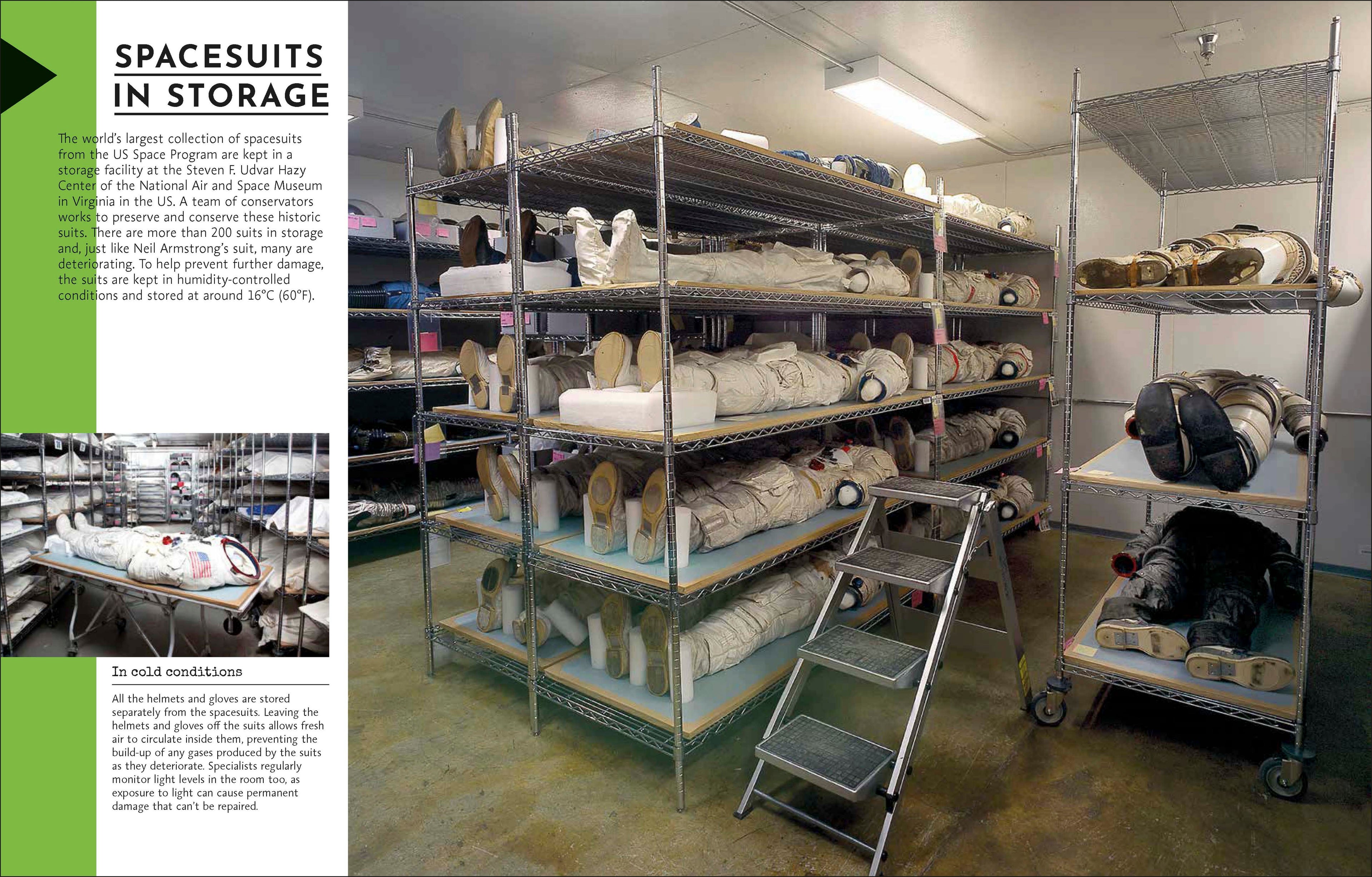 Behind the Scenes at the Museum