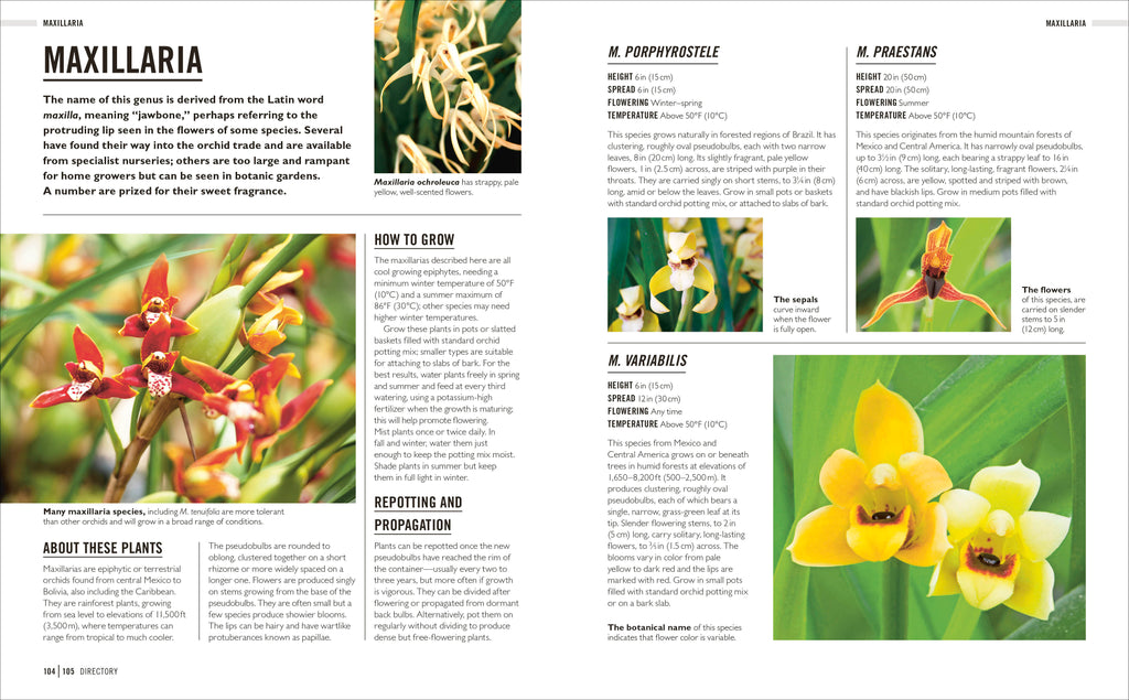 Grow Orchids-Spread, Image, (PRHC, Design, Do, Not, Use)-6