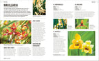 Grow Orchids-Spread, Image, (PRHC, Design, Do, Not, Use)-6
