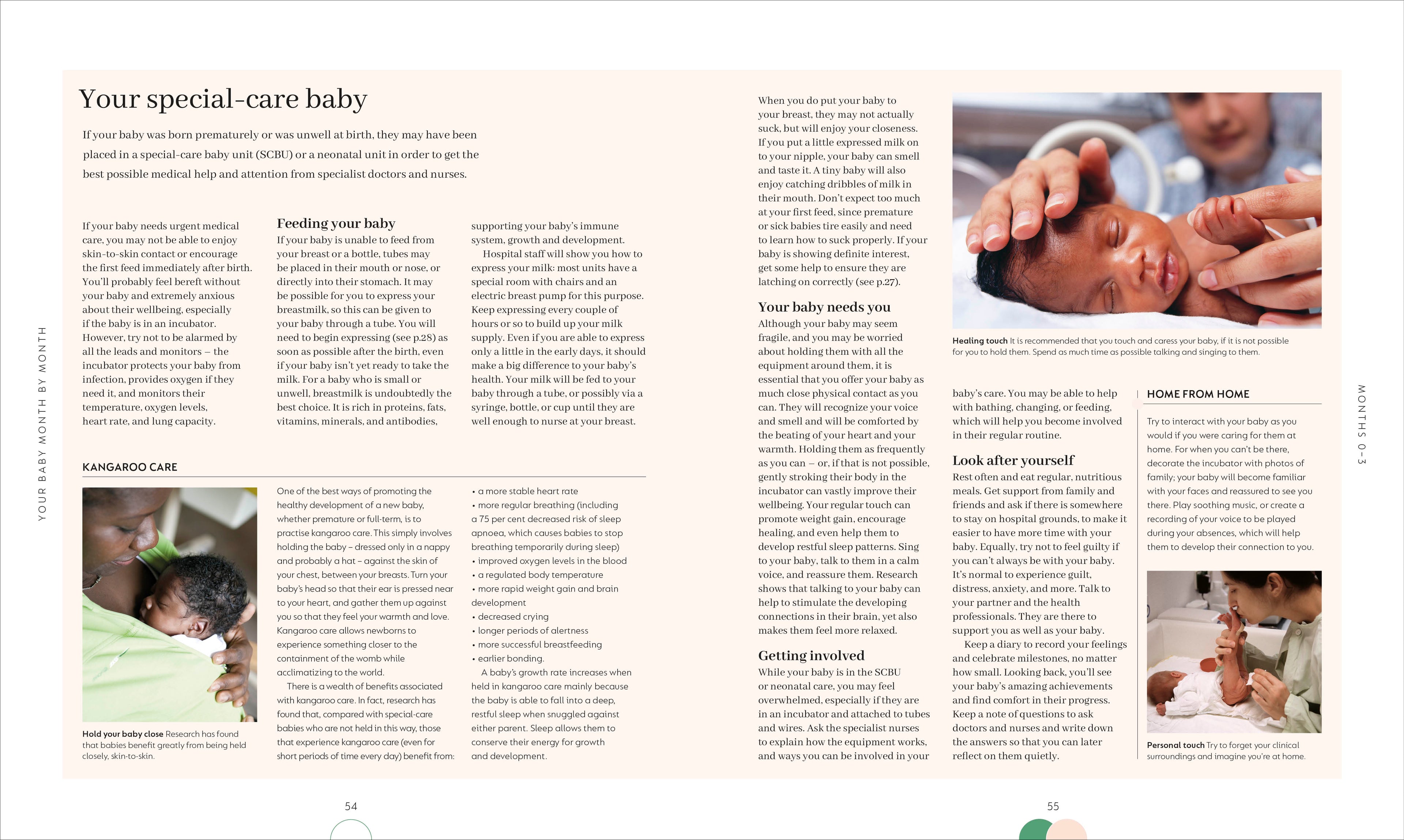 The Month-by-Month Baby Book