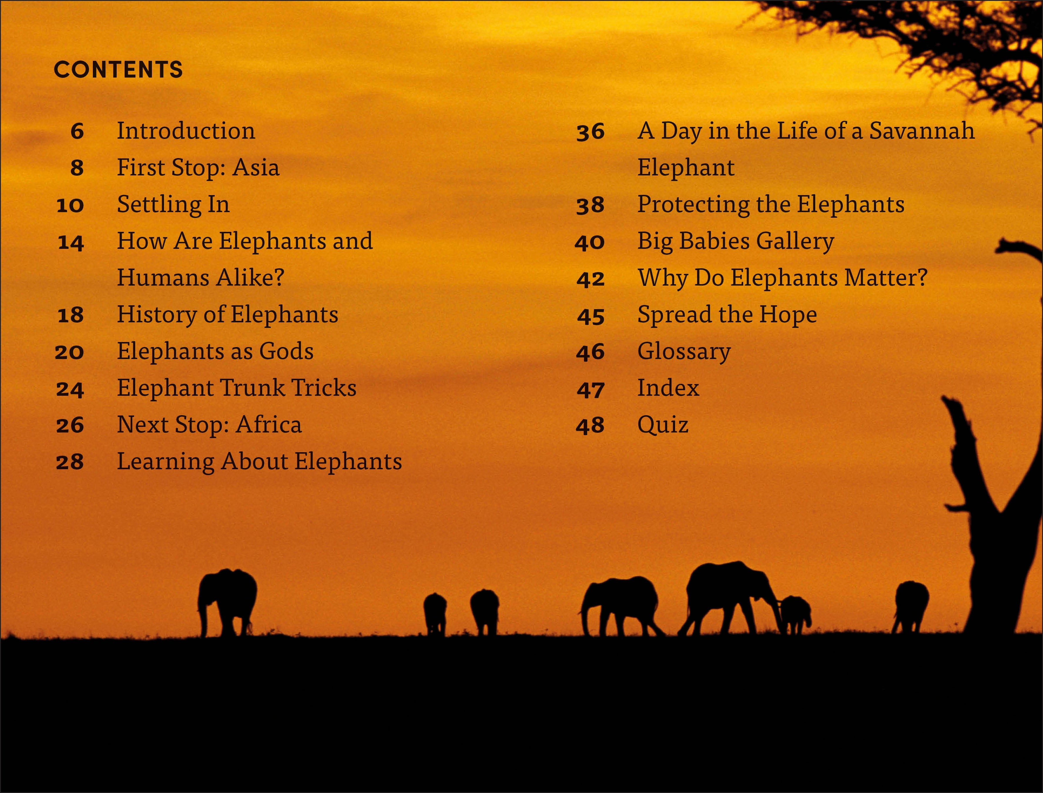 DK Super Readers Level 4 Hope for the Elephants