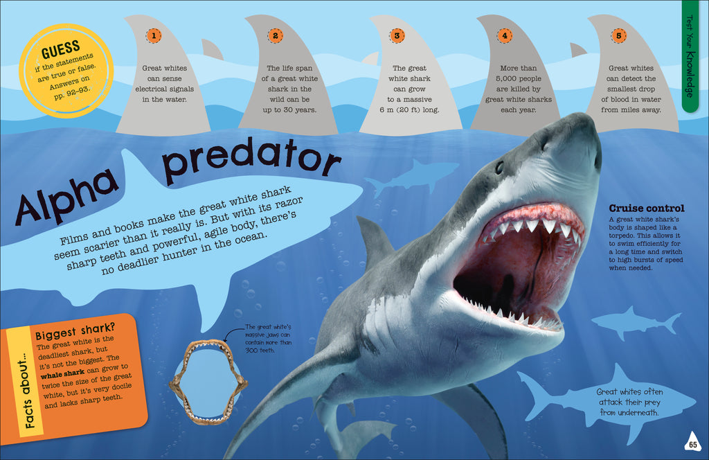 The Fact-Packed Activity Book: Sharks and Other Sea Creatures
