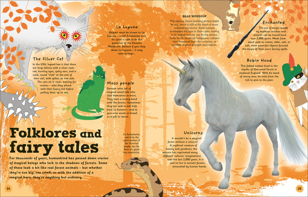 The Magic of Forests