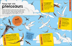 The Fact-Packed Activity Book: Dinosaurs-Spread, Image, (PRHC, Design, Do, Not, Use)-3