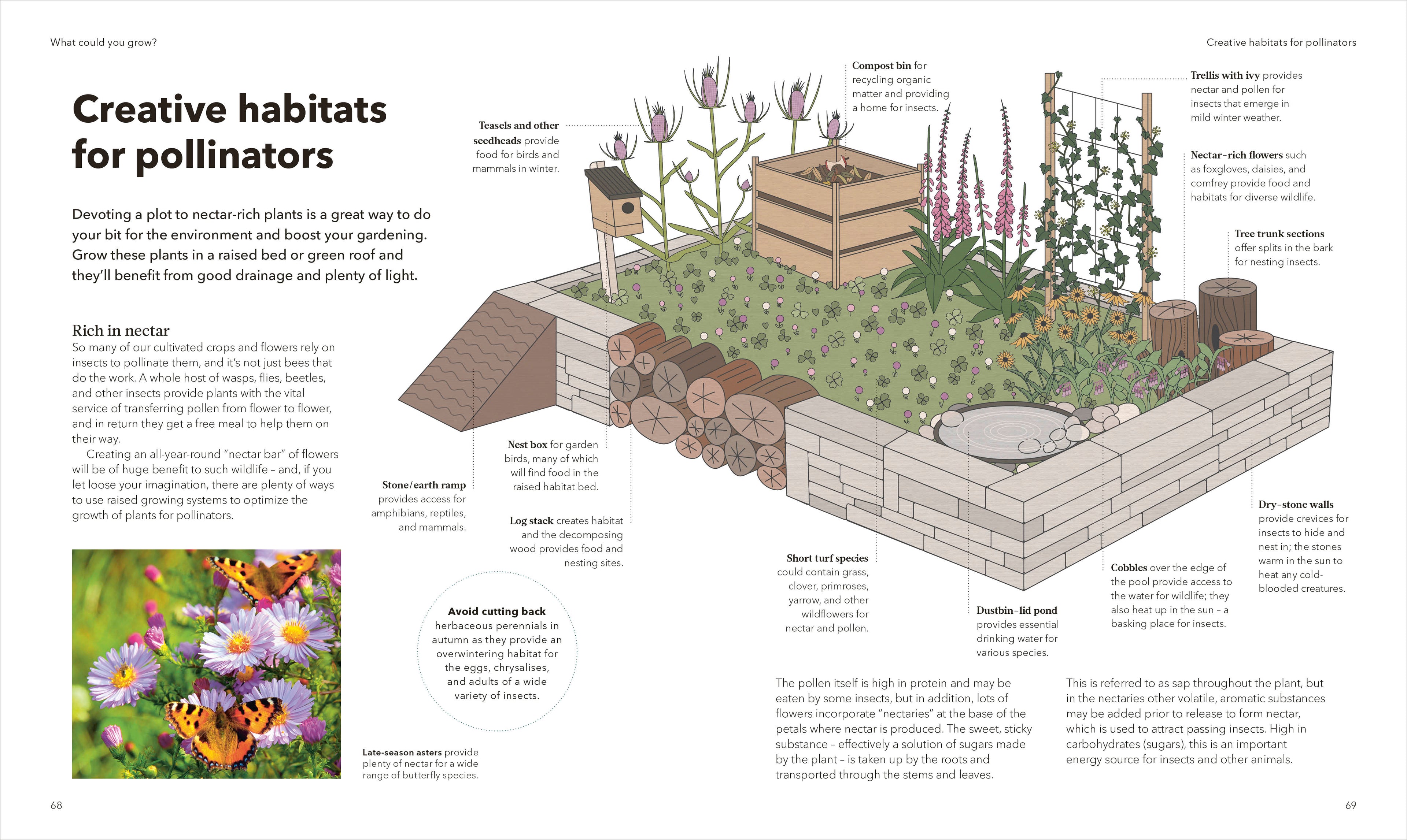 The Raised Bed Book
