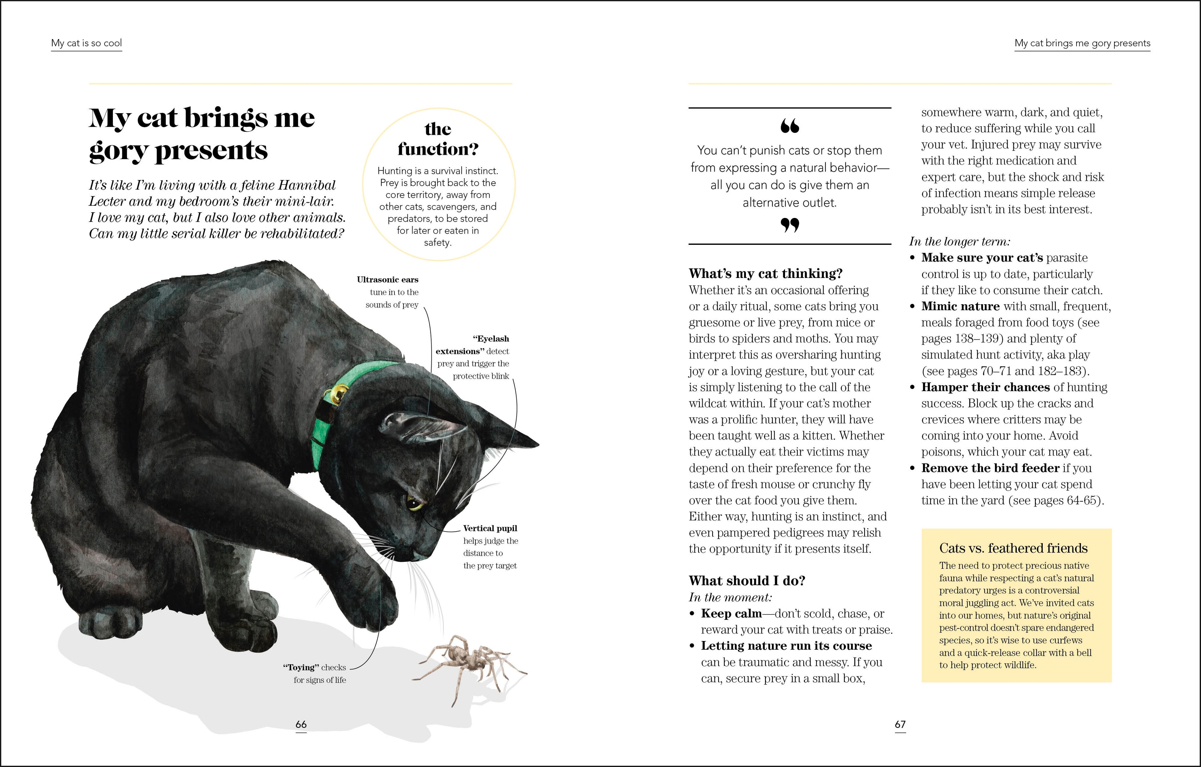 What's My Cat Thinking?