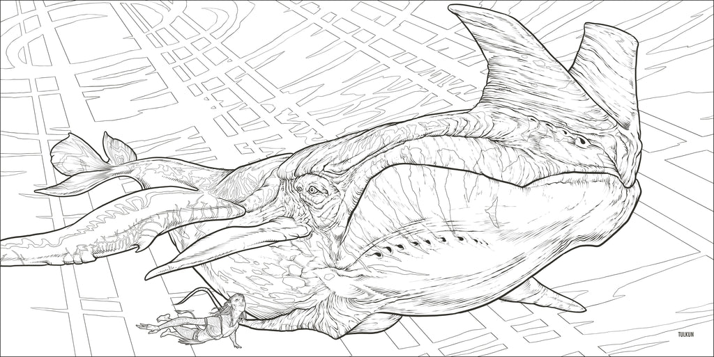 Avatar Coloring Book-image