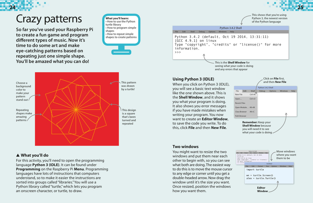 DK Workbooks: Raspberry Pi Projects