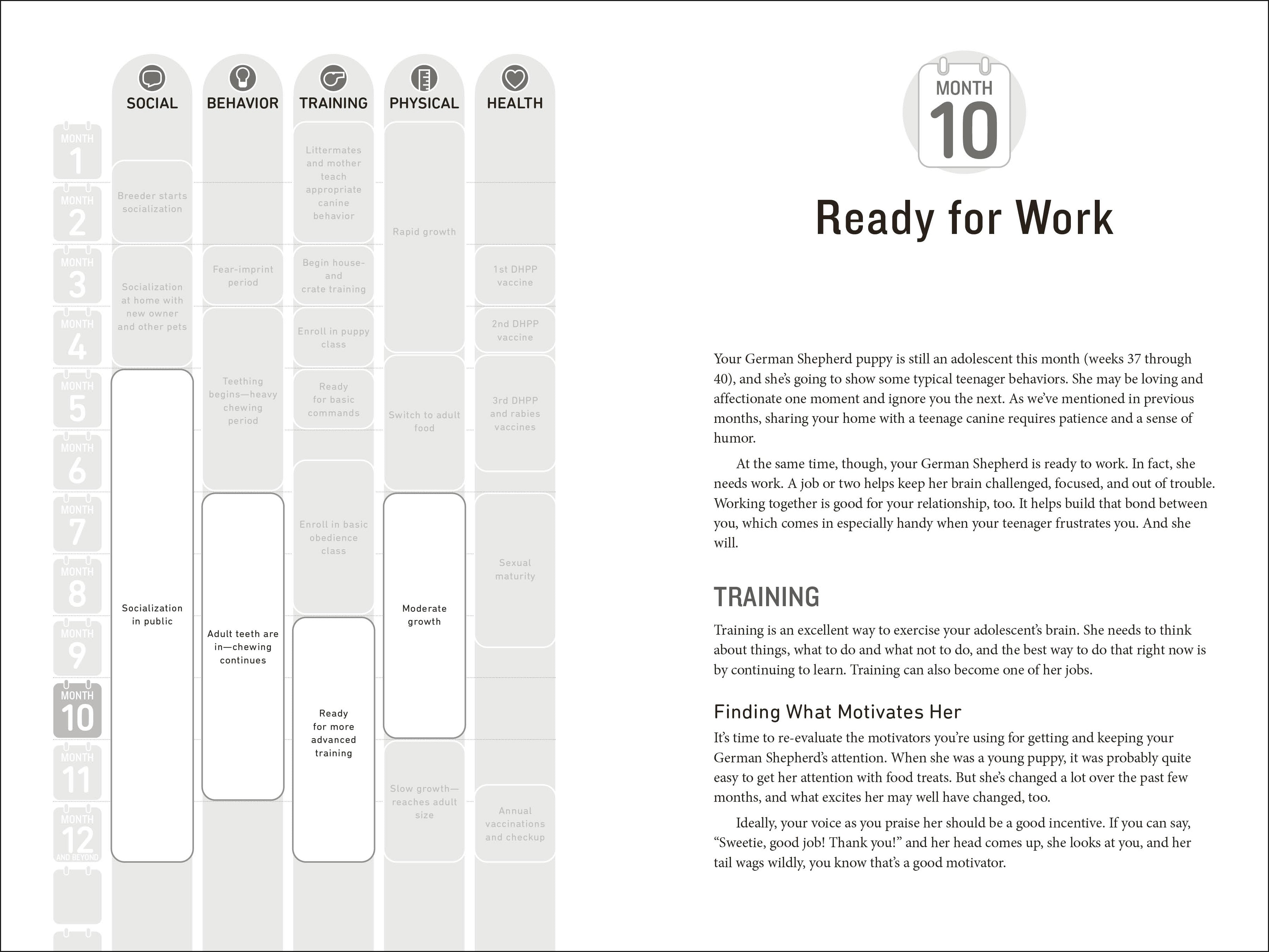 Your German Shepherd Puppy Month by Month, 2nd Edition