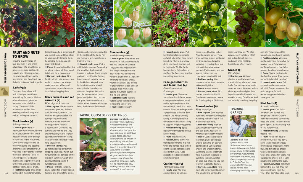 Self Sufficiency for the 21st Century