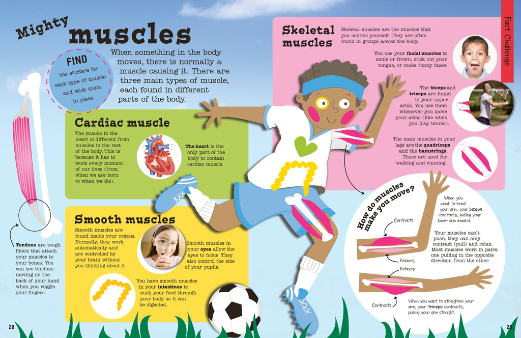 Ultimate Factivity Collection: Human Body