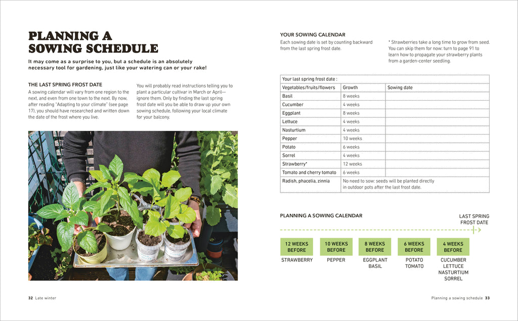 Tomatoes and Basil on the 5th Floor (The Frenchie Gardener)-Spread, Image, (PRHC, Design, Do, Not, Use)-4