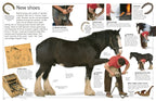DK Eyewitness Books: Horse
