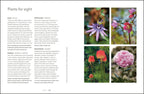 Garden for the Senses-Spread, Image, (PRHC, Design, Do, Not, Use)-8