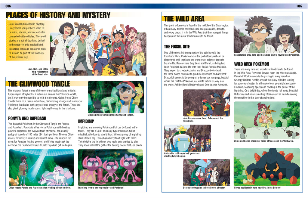 Pokémon Visual Companion Fifth Edition
