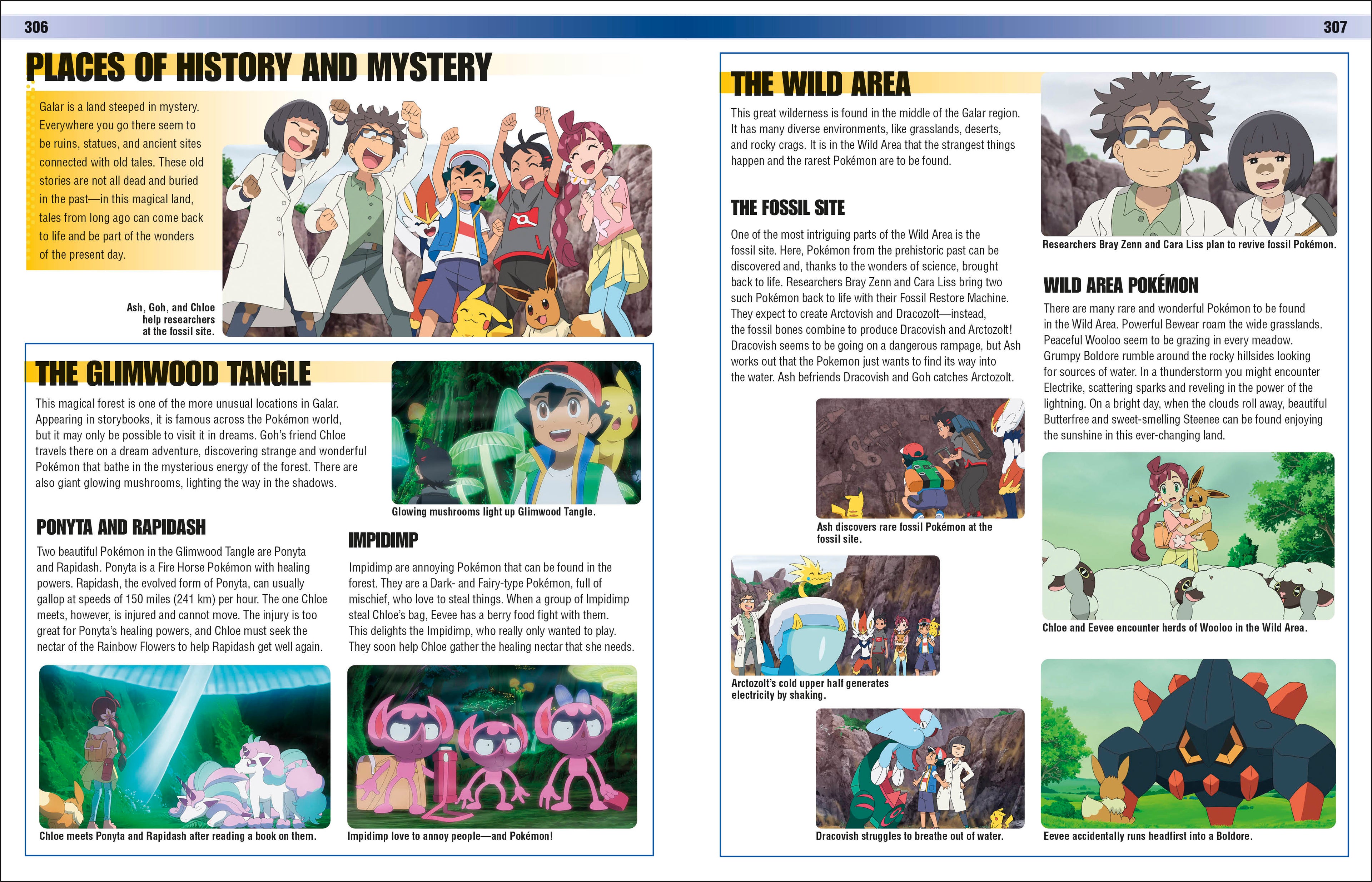 Pokémon Visual Companion Fifth Edition