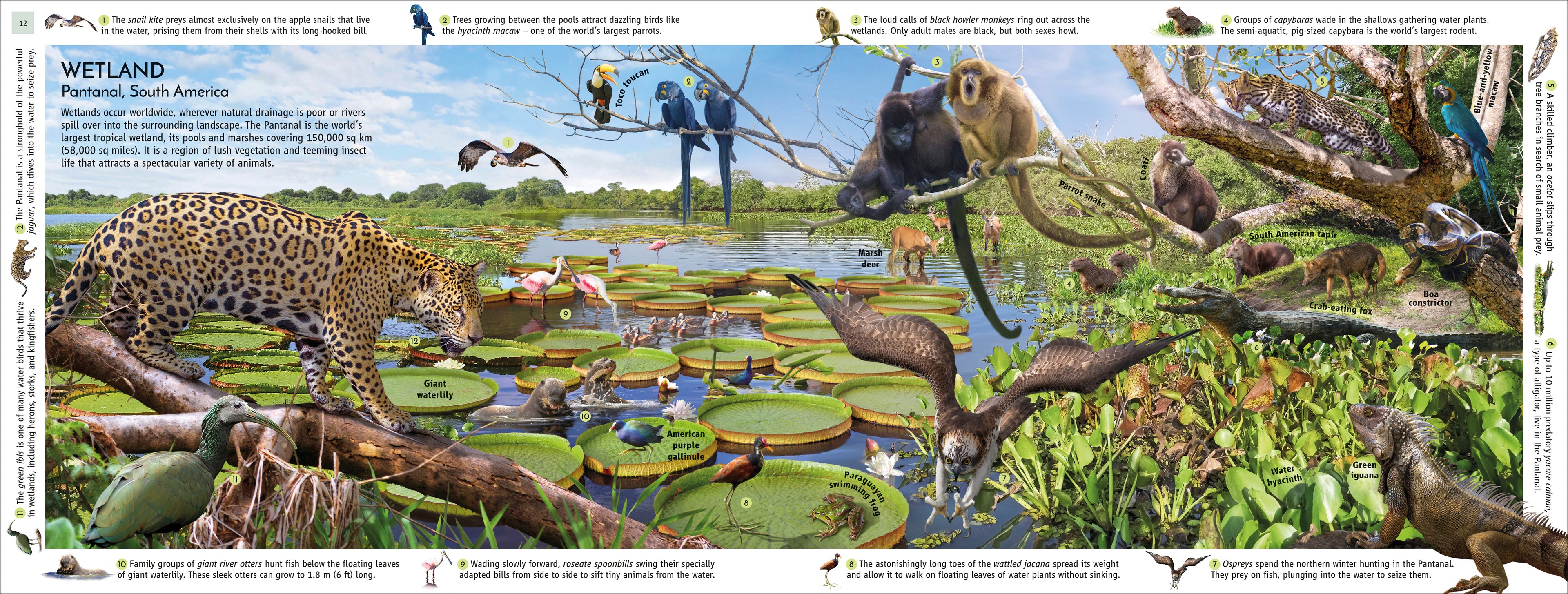 Habitats of the World