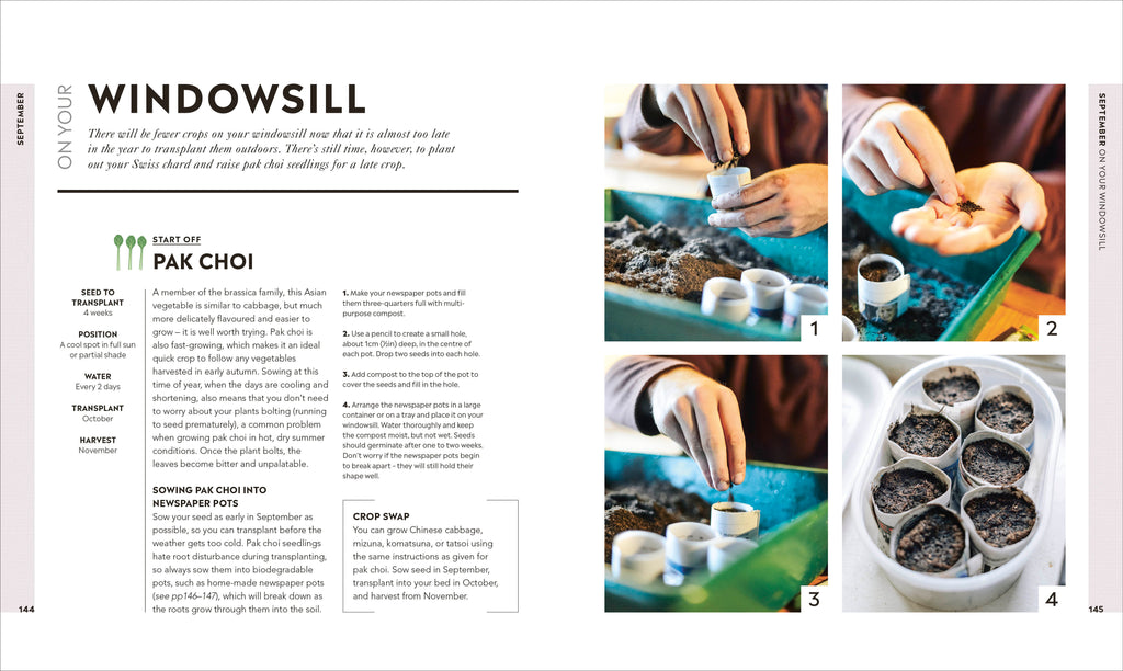 Veg in One Bed New Edition