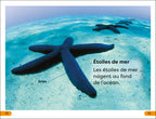 DK Super Readers Level 1 French Translation Explore the Coral Reef – Explore le Récif corallien