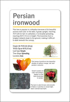 Our World in Pictures Trees of the World Flash Cards-Spread, Image, (PRHC, Design, Do, Not, Use)-10