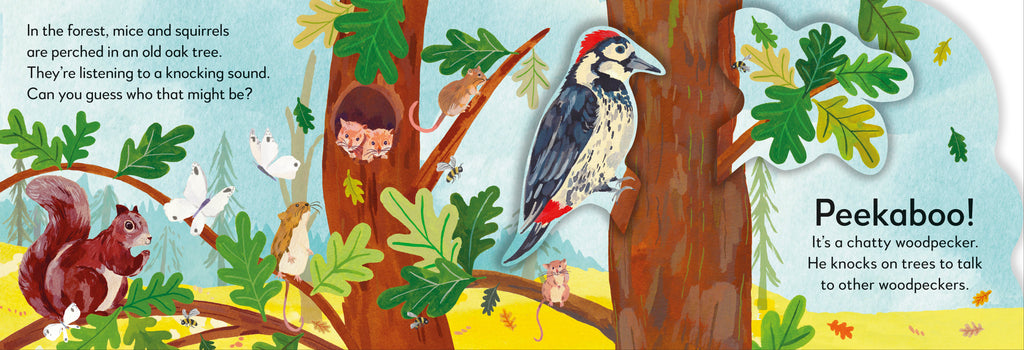 Pop-Up Peekaboo! Forest-Spread, Image, (PRHC, Design, Do, Not, Use)-2