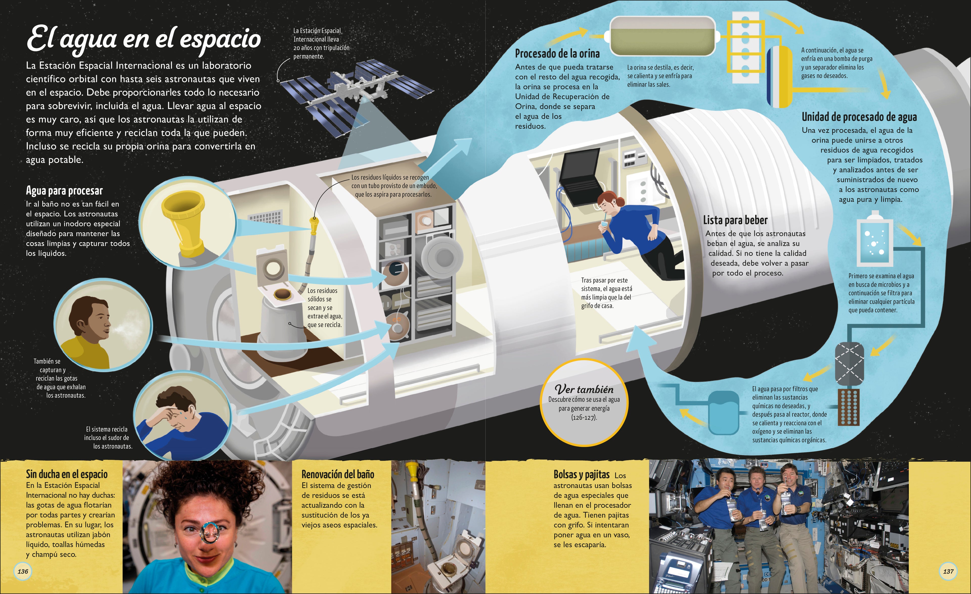La vida del agua (Water Cycles)-Spread, Image, (PRHC, Design, Do, Not, Use)-75