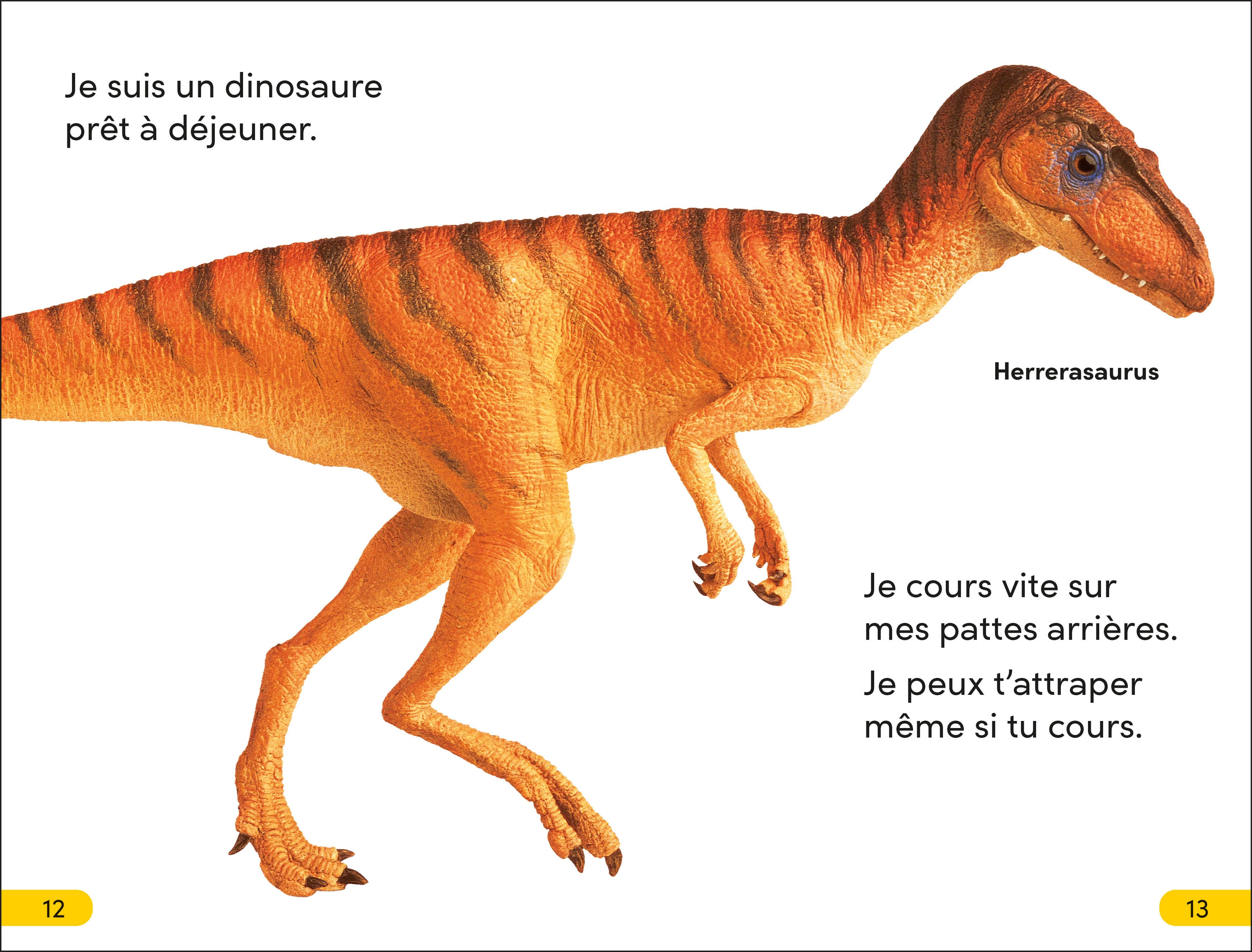 DK Super Readers Level 2 French Translation Dinosaur Dinners – Le Dîner des dinosaures