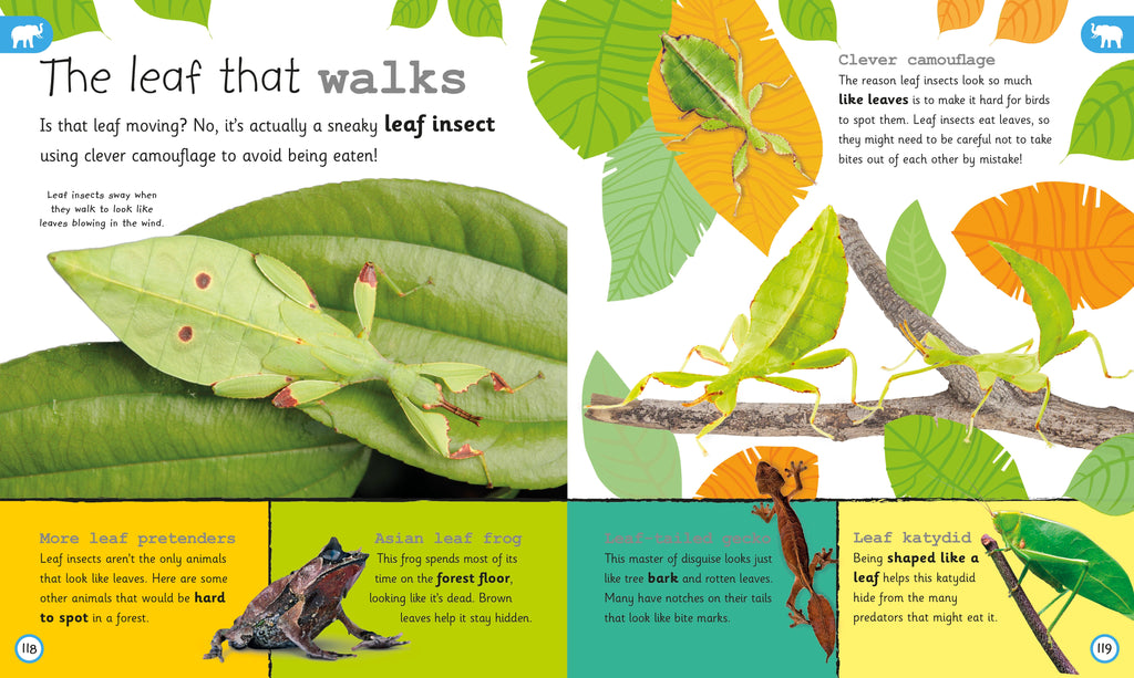 My Encyclopedia of Very Important Animals