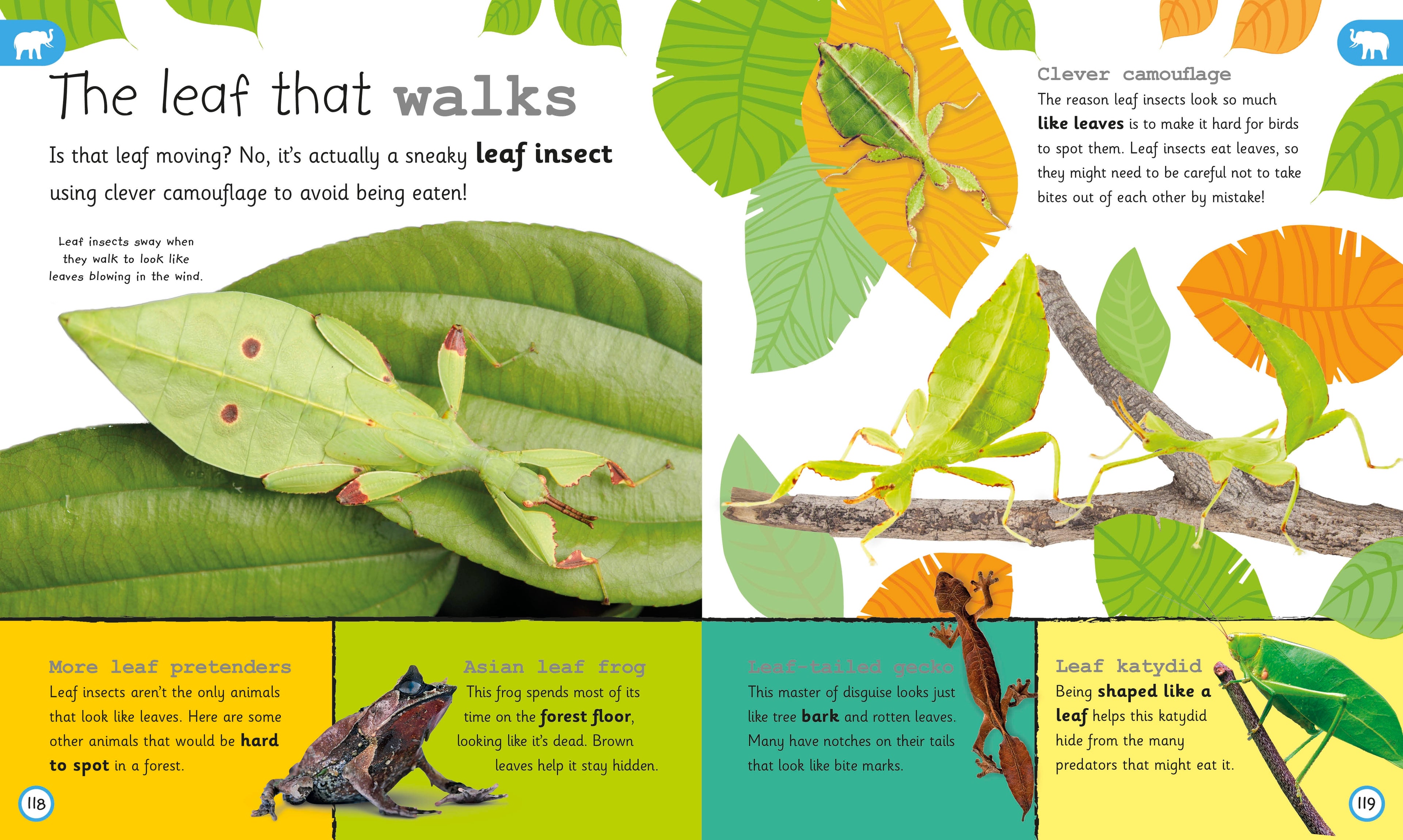 My Encyclopedia of Very Important Animals