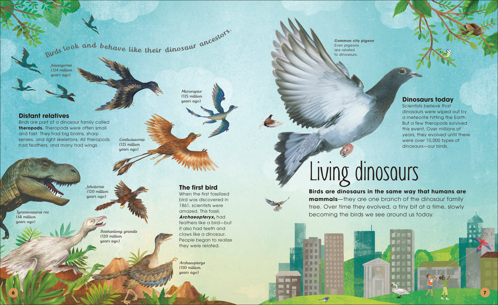 The Extraordinary World of Birds-Spread, Image, (PRHC, Design, Do, Not, Use)-1