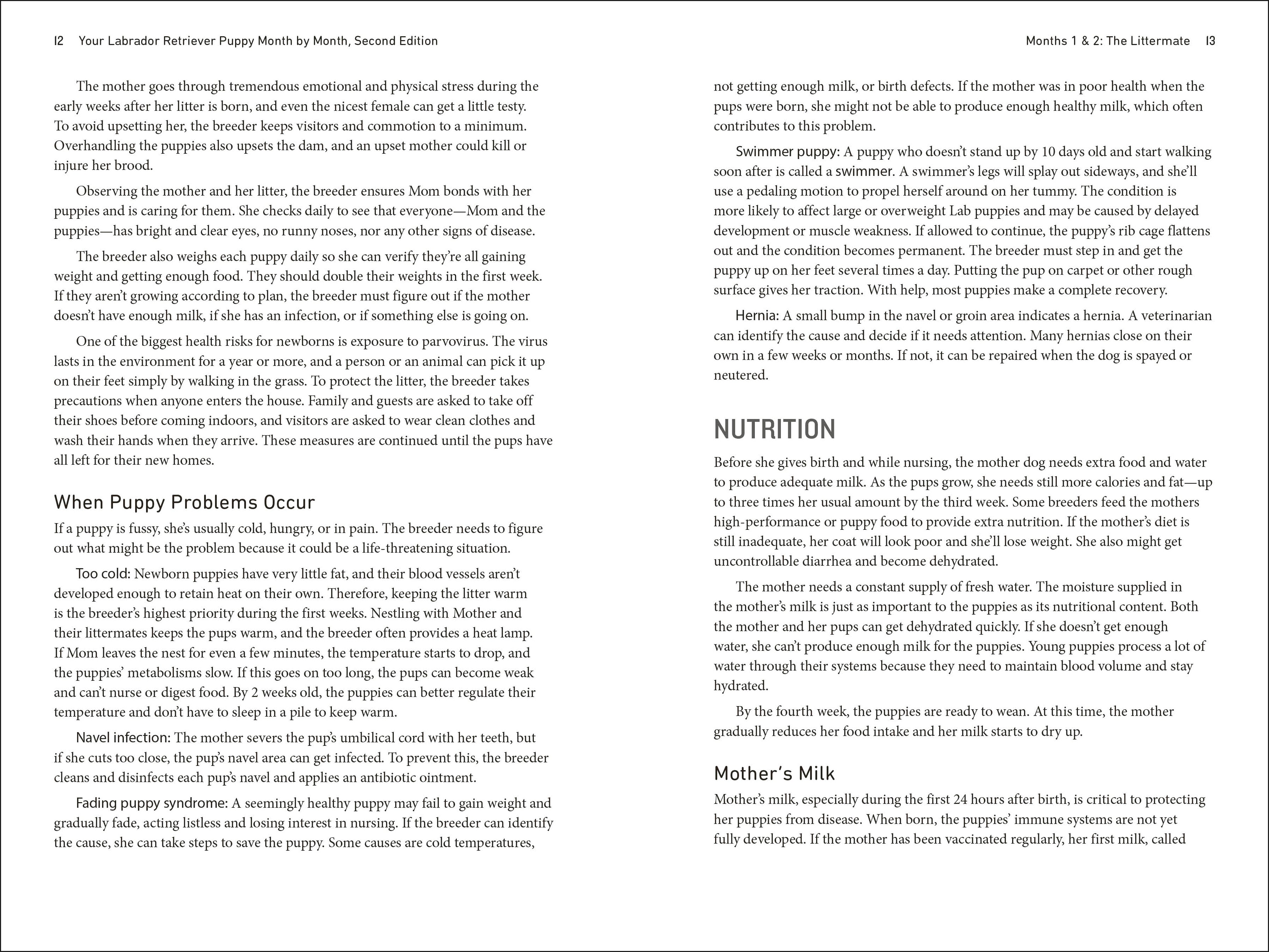 Your Labrador Retriever Puppy Month by Month, 2nd Edition