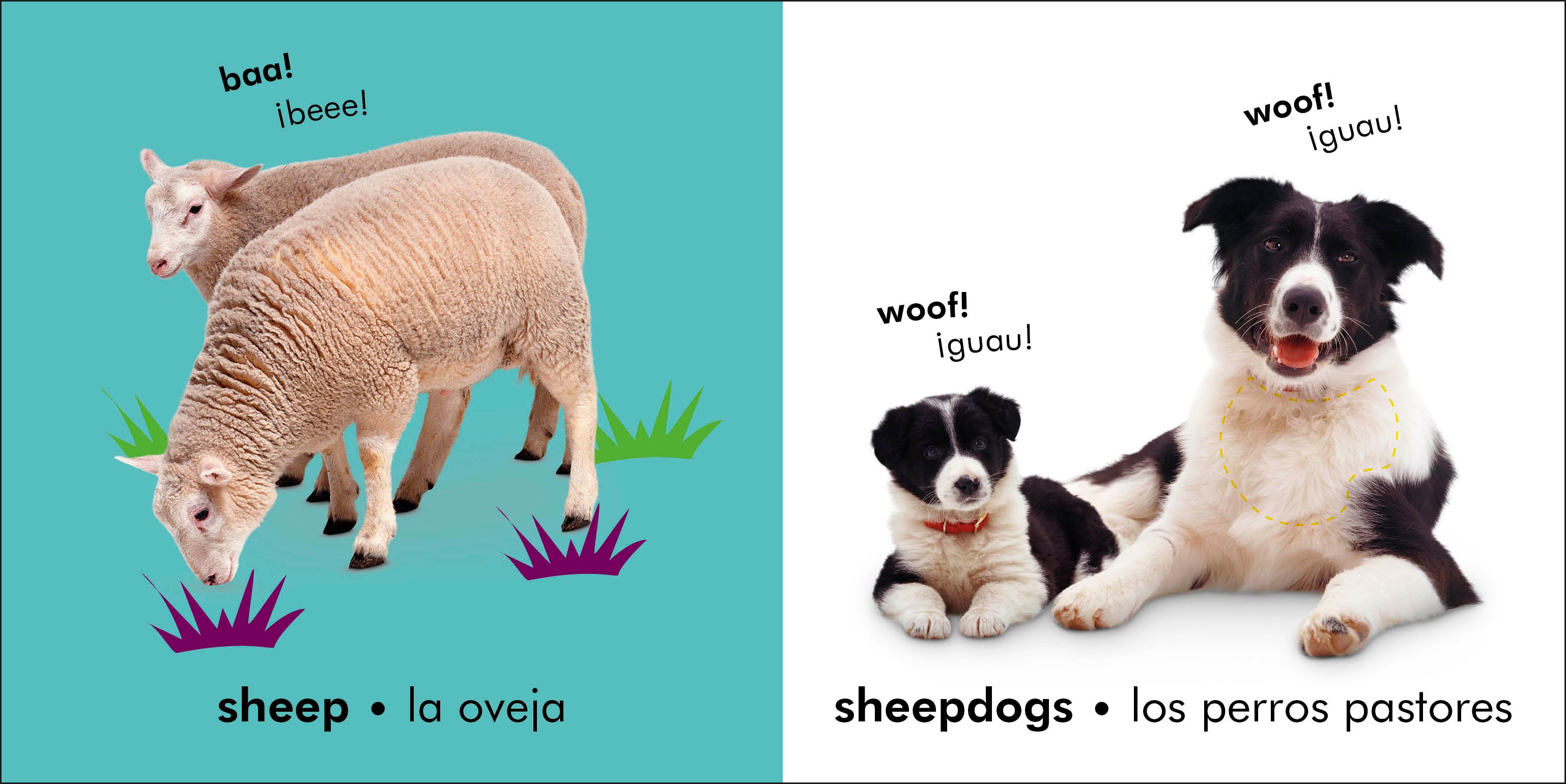 Bilingual Baby Touch and Feel: Farm - La granja-image