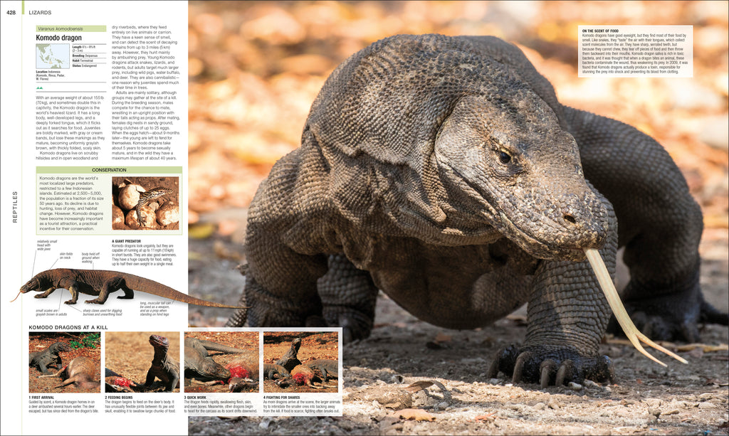 Animal-Spread, Image, (PRHC, Design, Do, Not, Use)-5