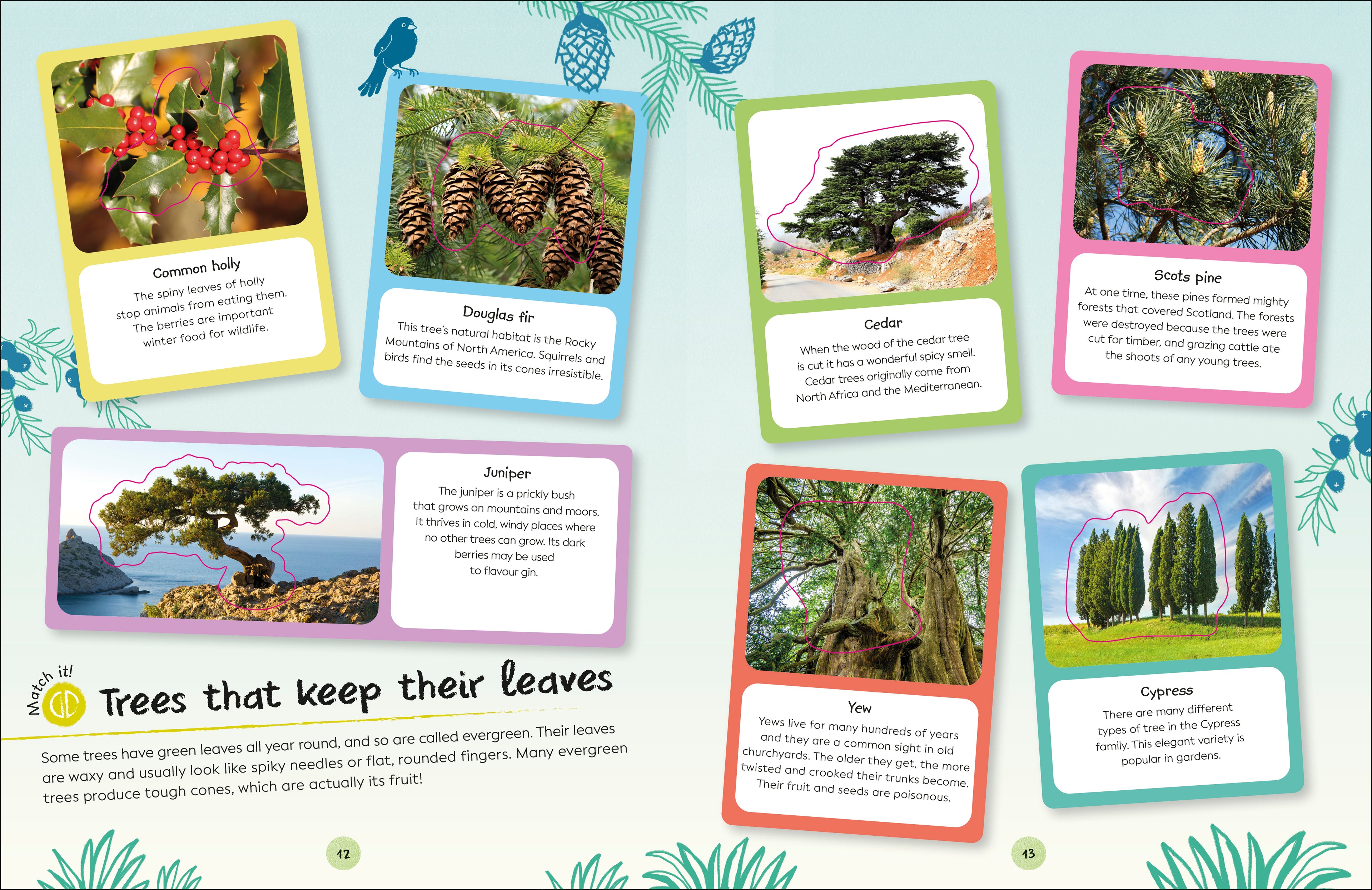 RHS Ultimate Sticker Book Trees and Leaves-Spread, Image, (PRHC, Design, Do, Not, Use)-3