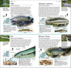 Pocket Nature Wildlife of Britain and Ireland