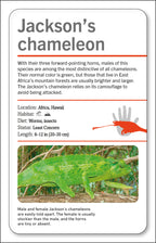 Our World in Pictures Animals of the World Flash Cards-Spread, Image, (PRHC, Design, Do, Not, Use)-11